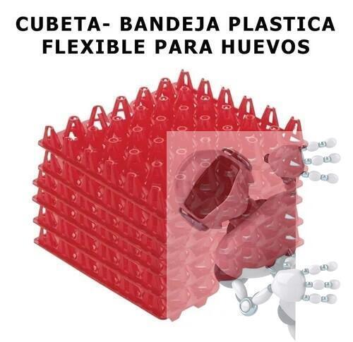 Cubeta Bandeja De Plástico Para Huevos Plástica Incubadora - Imagen 2