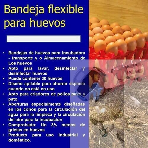 Cubeta Bandeja De Plástico Para Huevos Plástica Incubadora - Imagen 6